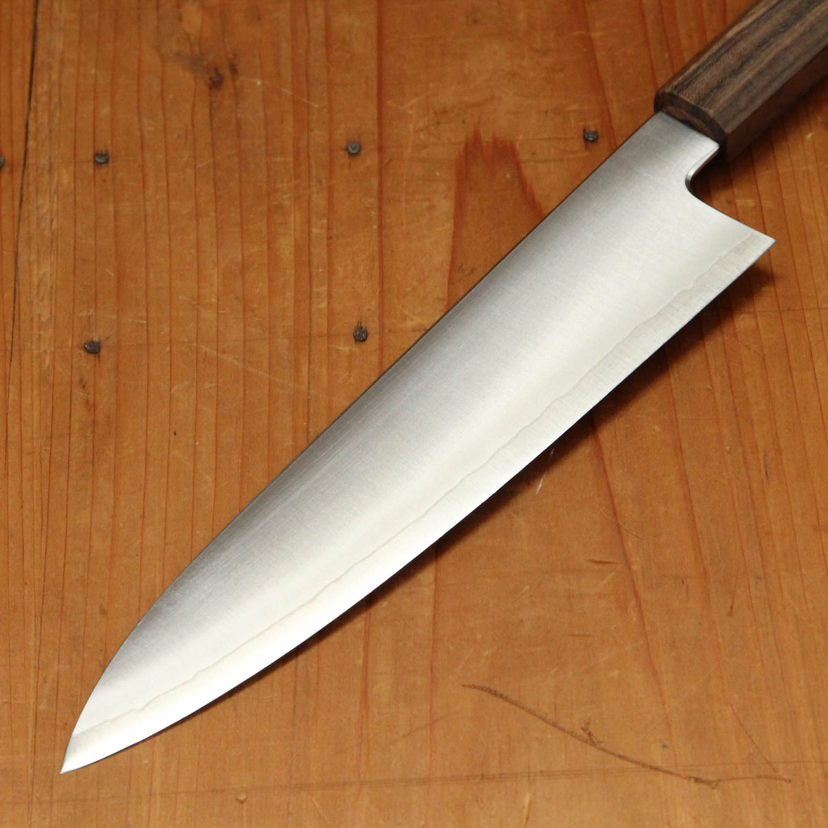 Myojin Riki Seisakusho 210mm Gyuto Cobalt Special Stainless Bubinga Handle