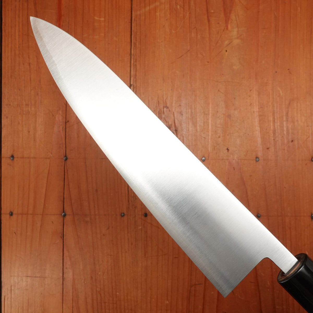 Hitohira SLD 210mm Wa-Gyuto Ho Wood Handle (D-Shape)
