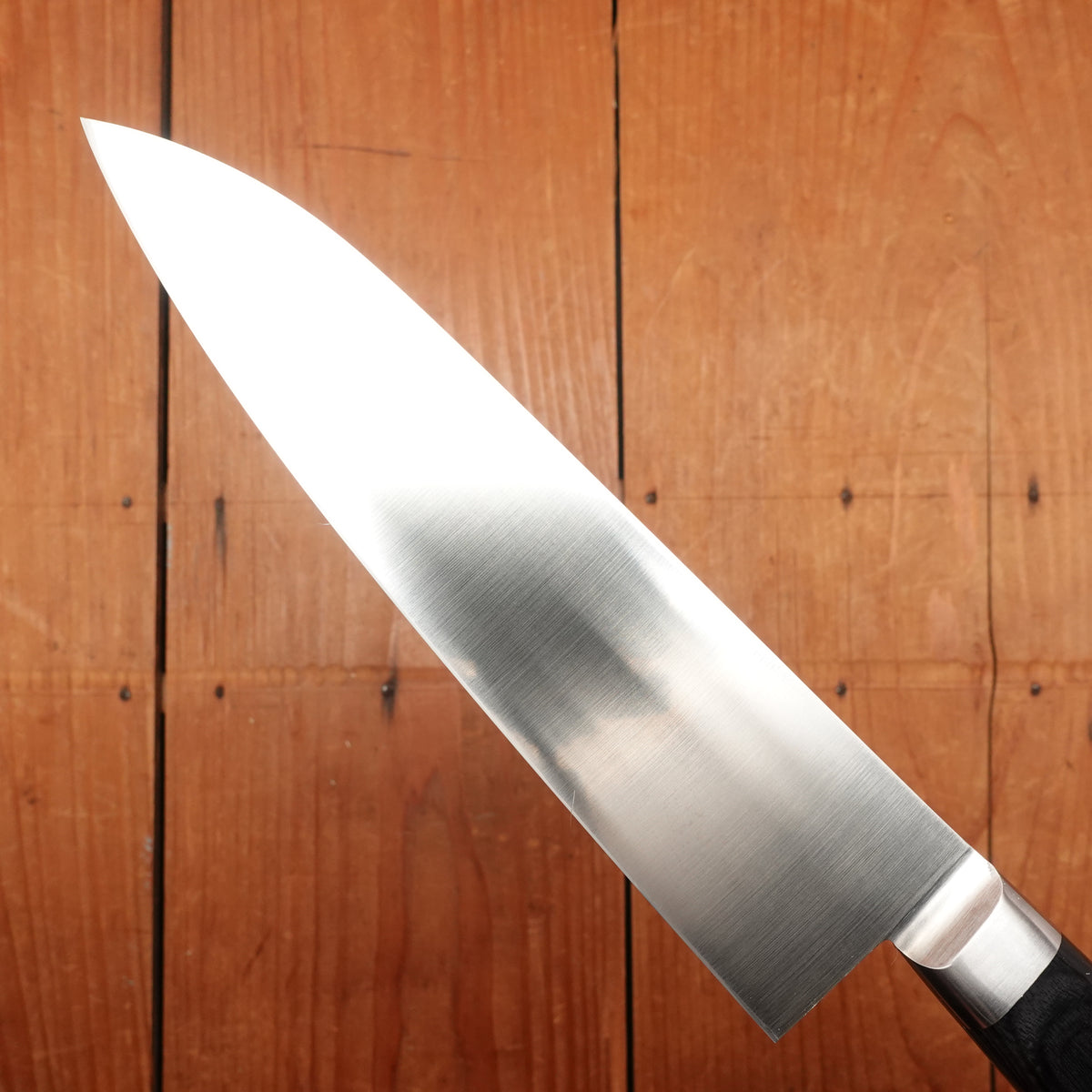 Morihei Hisamoto 180mm Gyuto Stainless Pakka Handle