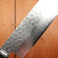 Hitohira HG 210mm Gyuto Stainless Tsuchime Damascus Rosewood Handle