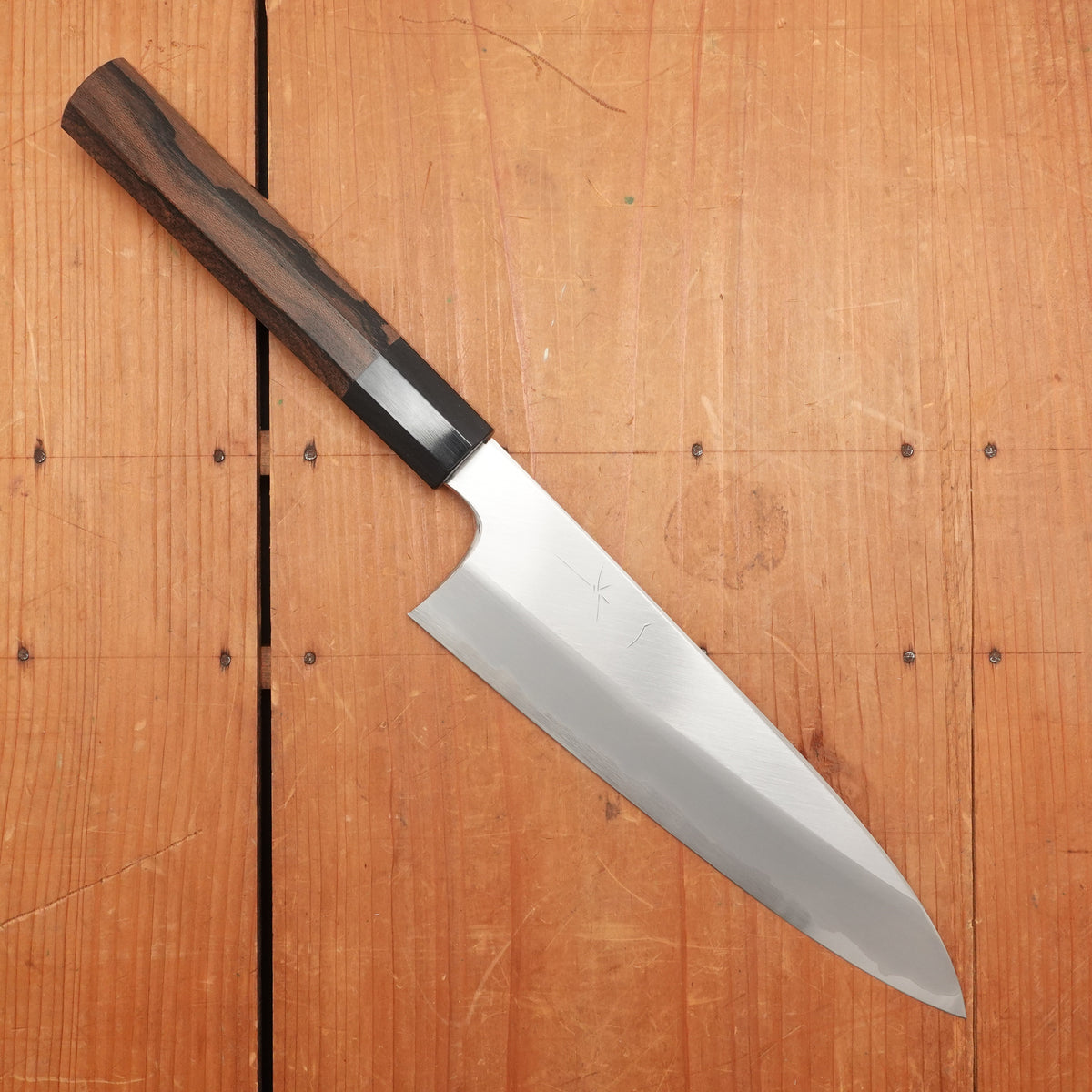 Hitohira Togashi 210mm Gyuto Stainless Clad Aogami 1 Ziricote Handle