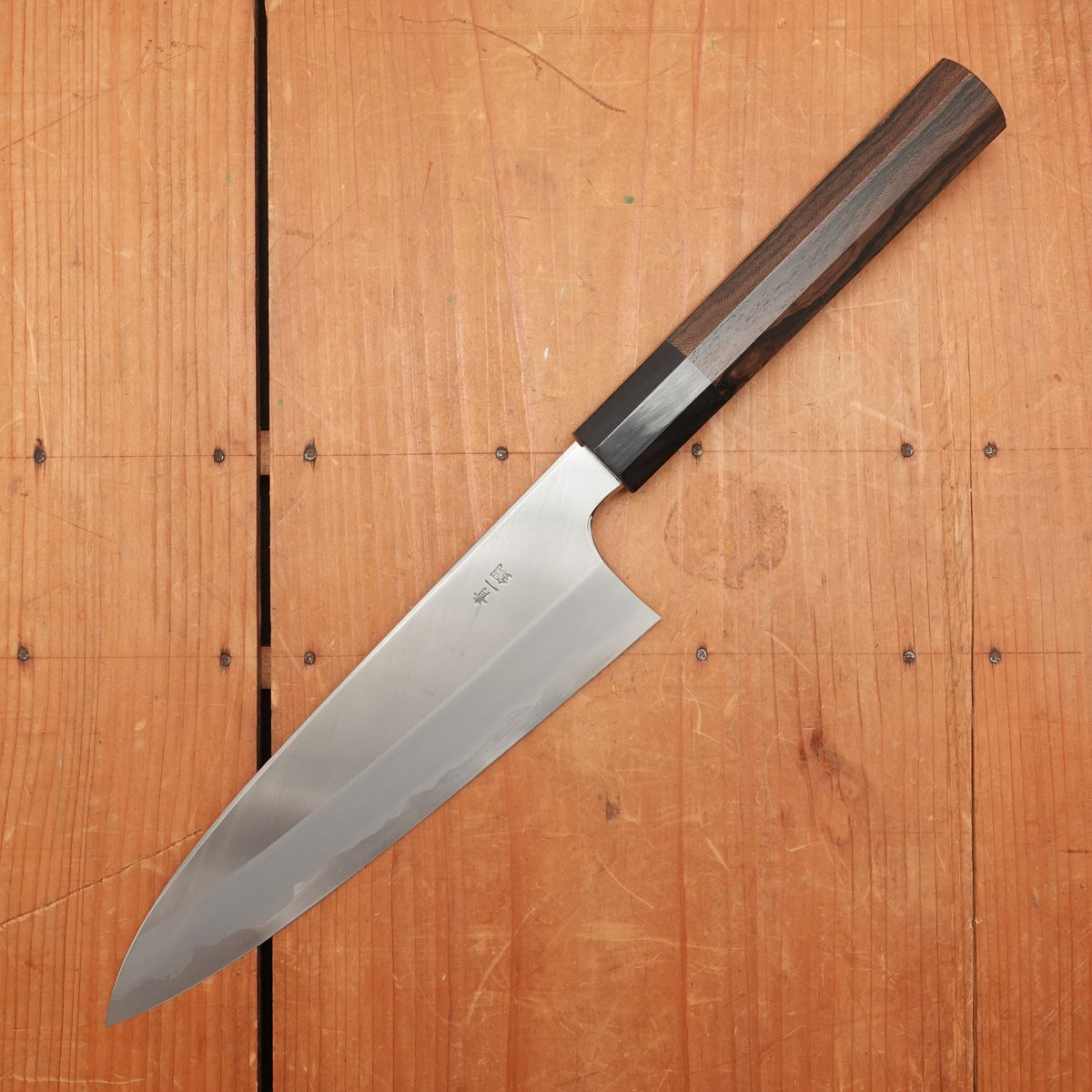 Hitohira Togashi 210mm Gyuto Stainless Clad Aogami 1 Ziricote Handle