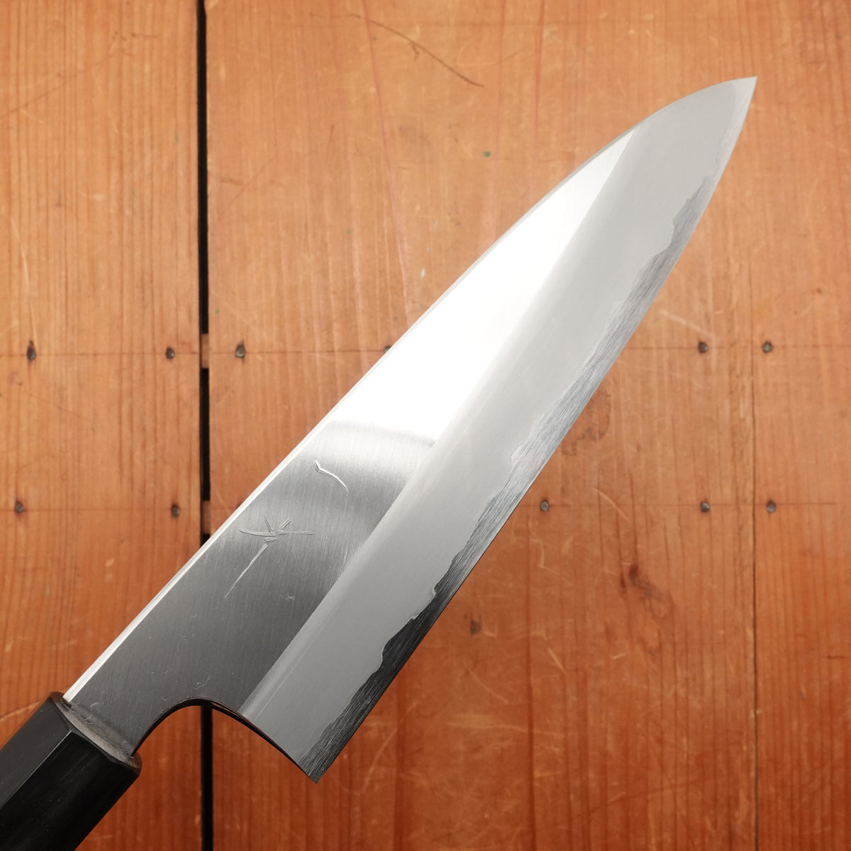 Hitohira Togashi 210mm Gyuto Stainless Clad Aogami 1 Ziricote Handle