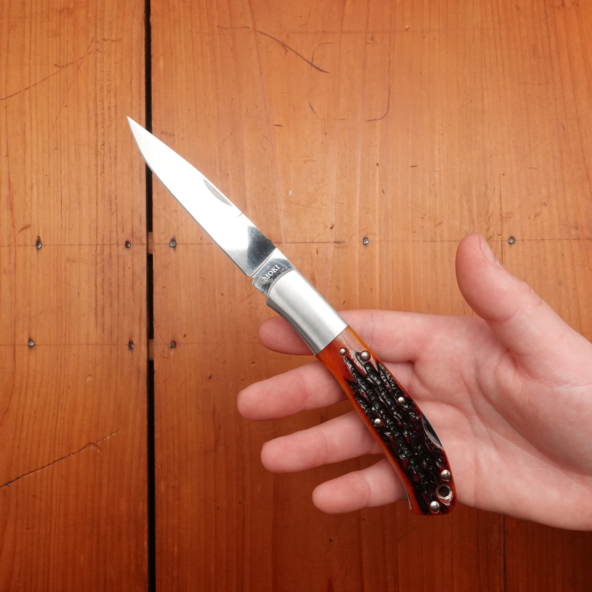 MOKI Kronos Folding Knife Stag Handle