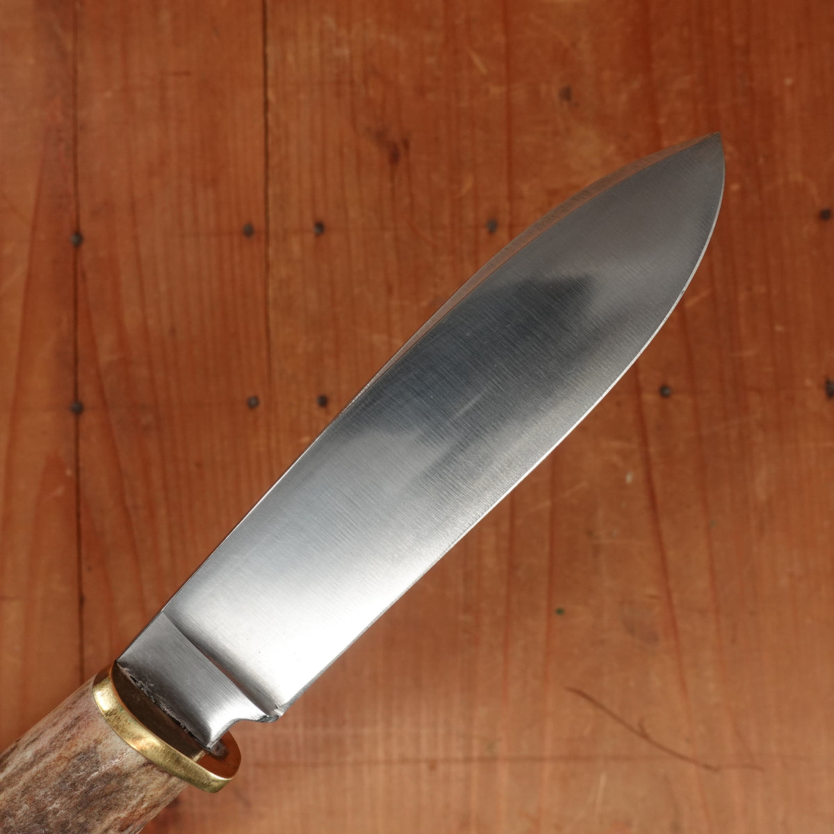 Unidentified Custom Belt Knife 5" Stainless Blade Stag & Brass Original Sheath
