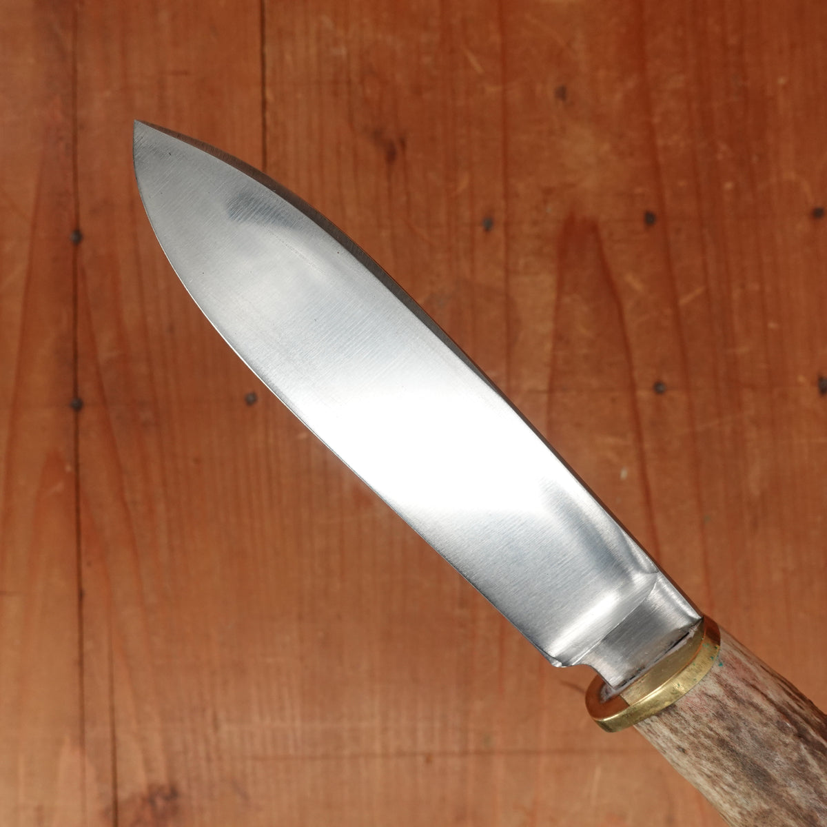 Unidentified Custom Belt Knife 5" Stainless Blade Stag & Brass Original Sheath