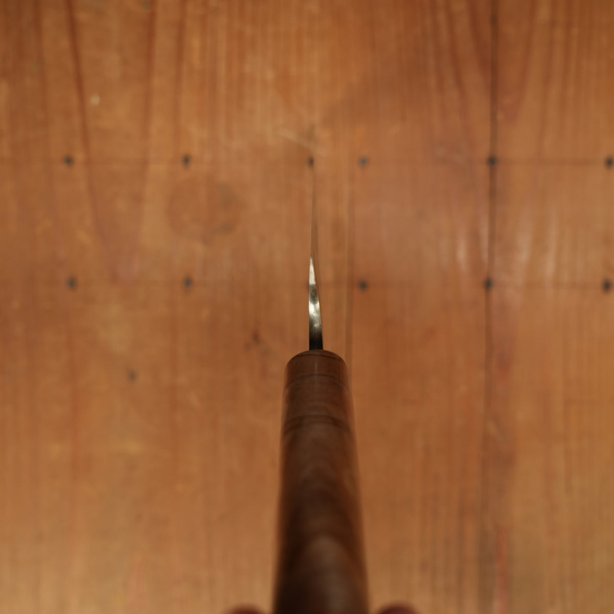Rolin Knives 205mm Gyuto 51200 Spalted Hackberry