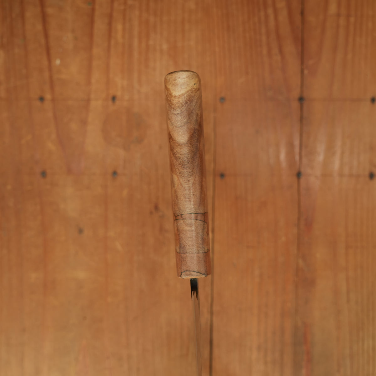 Rolin Knives 205mm Gyuto 51200 Spalted Hackberry