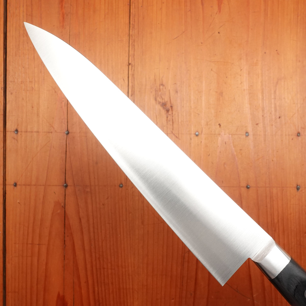 Ashi Hamono Ginga 210mm Gyuto Swedish Stainless Western Handle with Saya