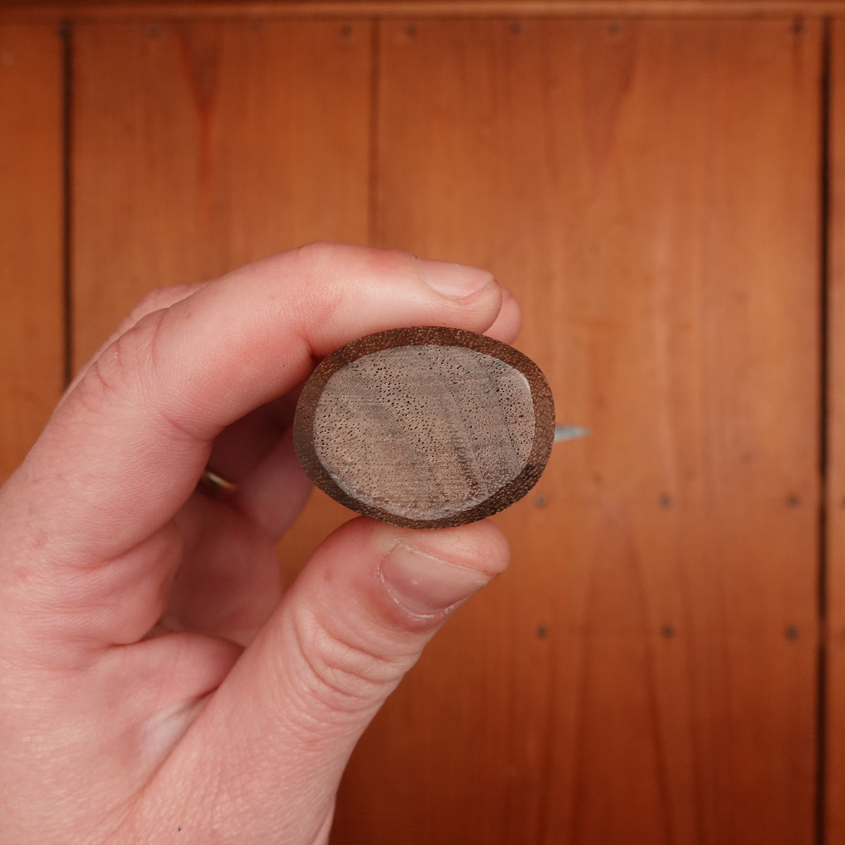 Tosa Tadayoshi 150mm Ryo Deba Aogami 1 Walnut/PC Handle