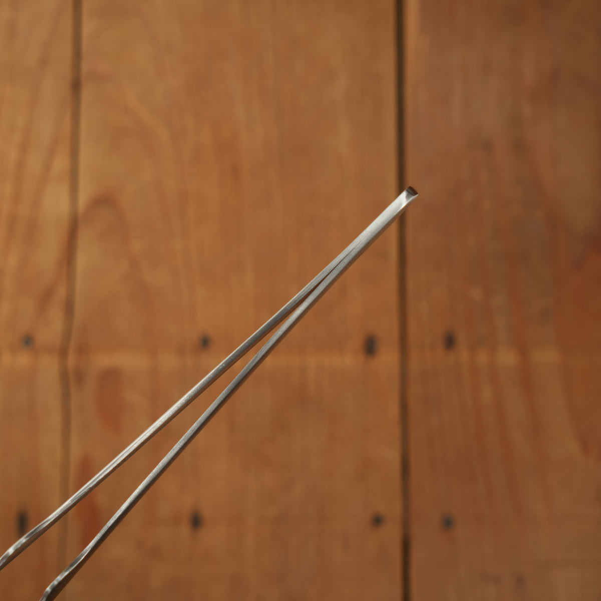 Gestura 8" Petite Stando Tweezer Stainless Steel