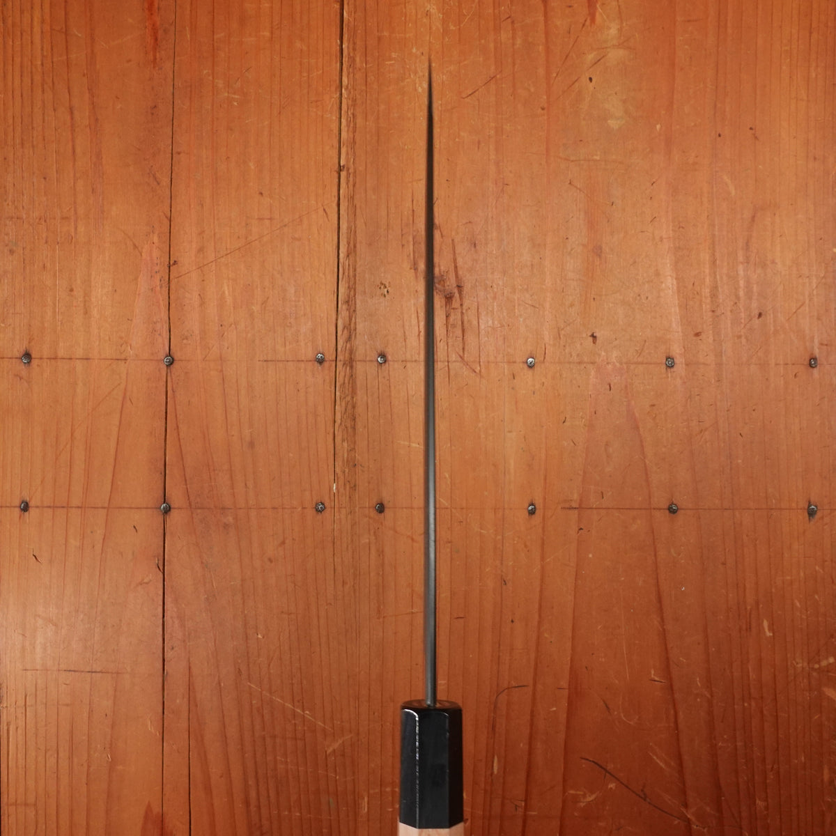 Hitohira Tanaka Kyuzo 210mm Gyuto Aogami 1 Yakisugi Cedar