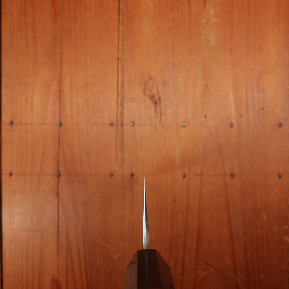 Hitohira Tanaka Kyuzo 210mm Gyuto Aogami 1 Yakisugi Cedar