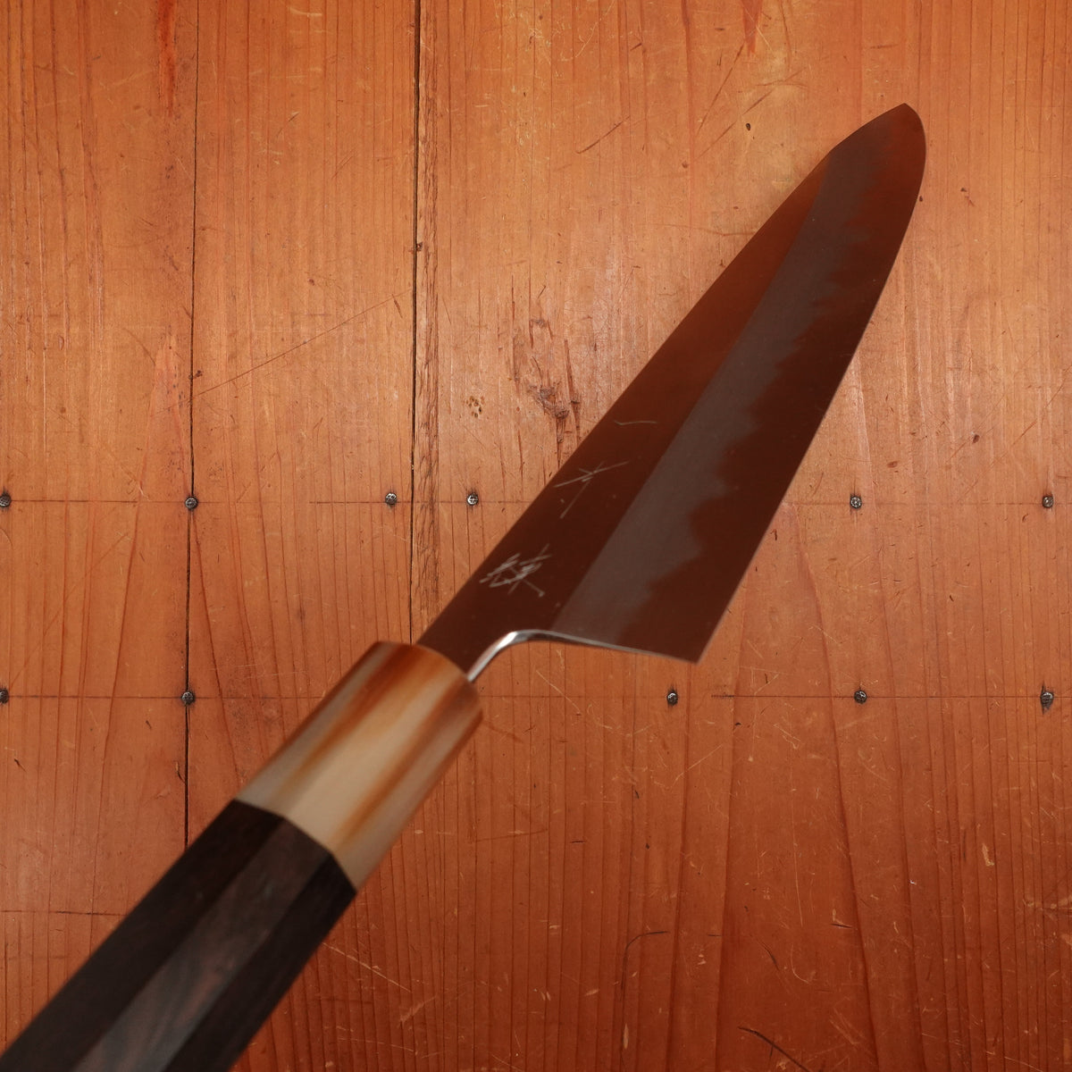 Hitohira Tanaka Ren 240mm Gyuto Shirogami 2 Ebony Handle