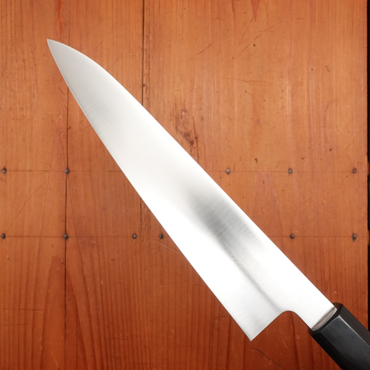Hitohira FJ 210mm Gyuto VG10 Ho Wood Handle