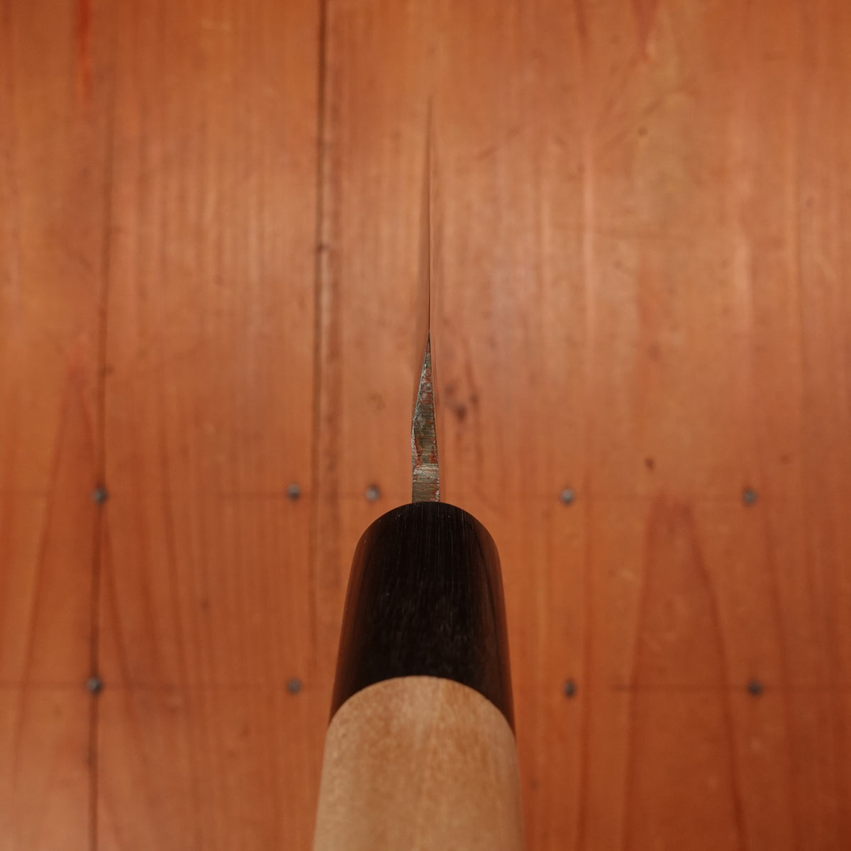 Sakai Kikumori Gokujyo 150mm Unagi-saki Shirogami 2