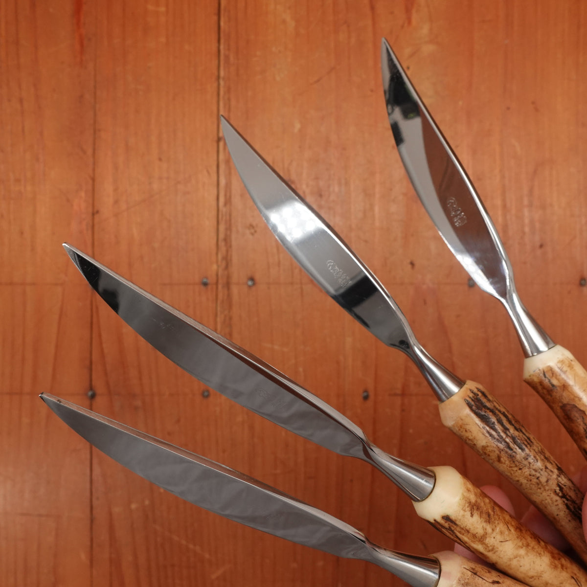 Anton Wingen Jr 6 Pc Carving & Steak Knife Set Stainless & Stag Solingen 1960s 70s