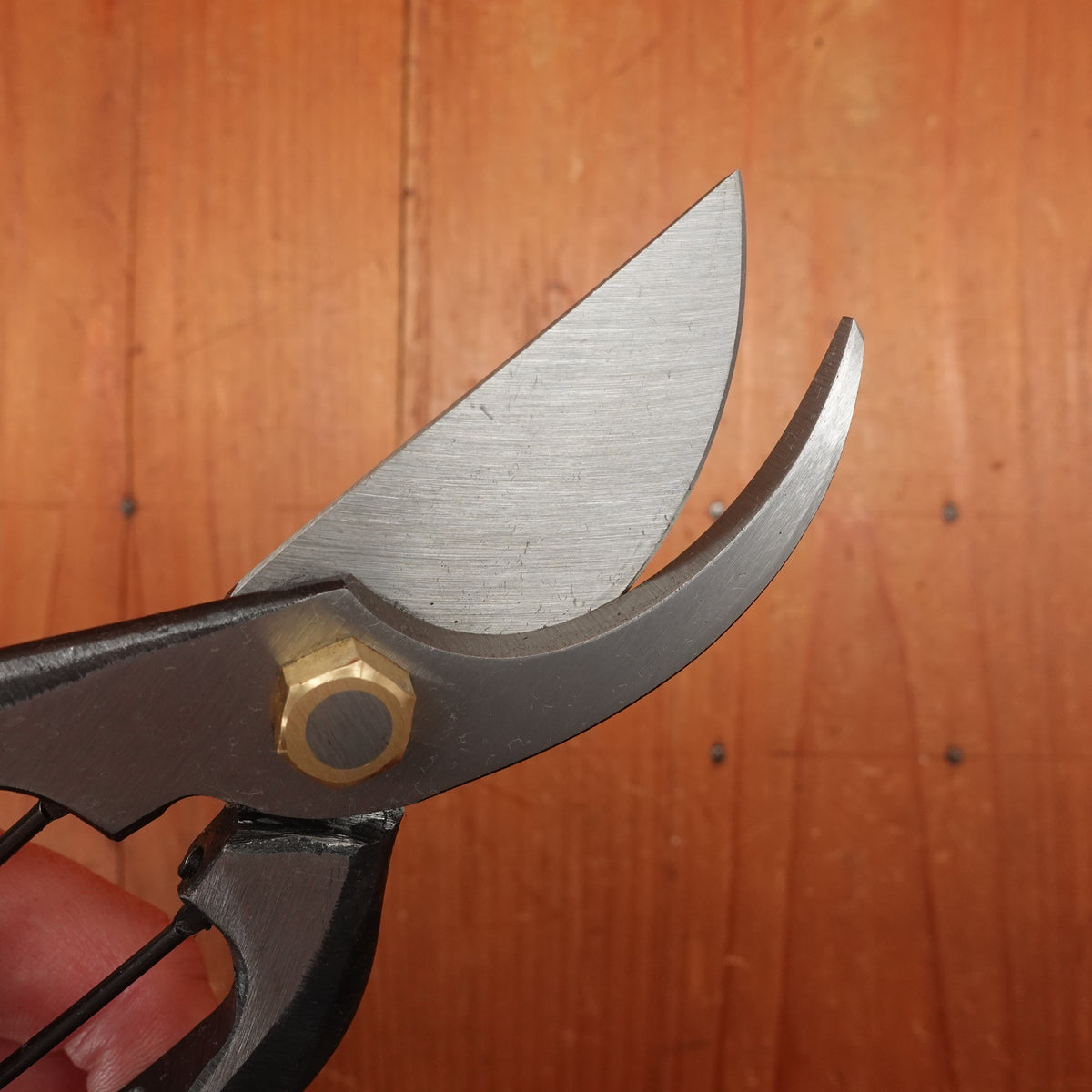 Kan Nihonichi 200mm Pruning Shear Forged Carbon Steel Lefty
