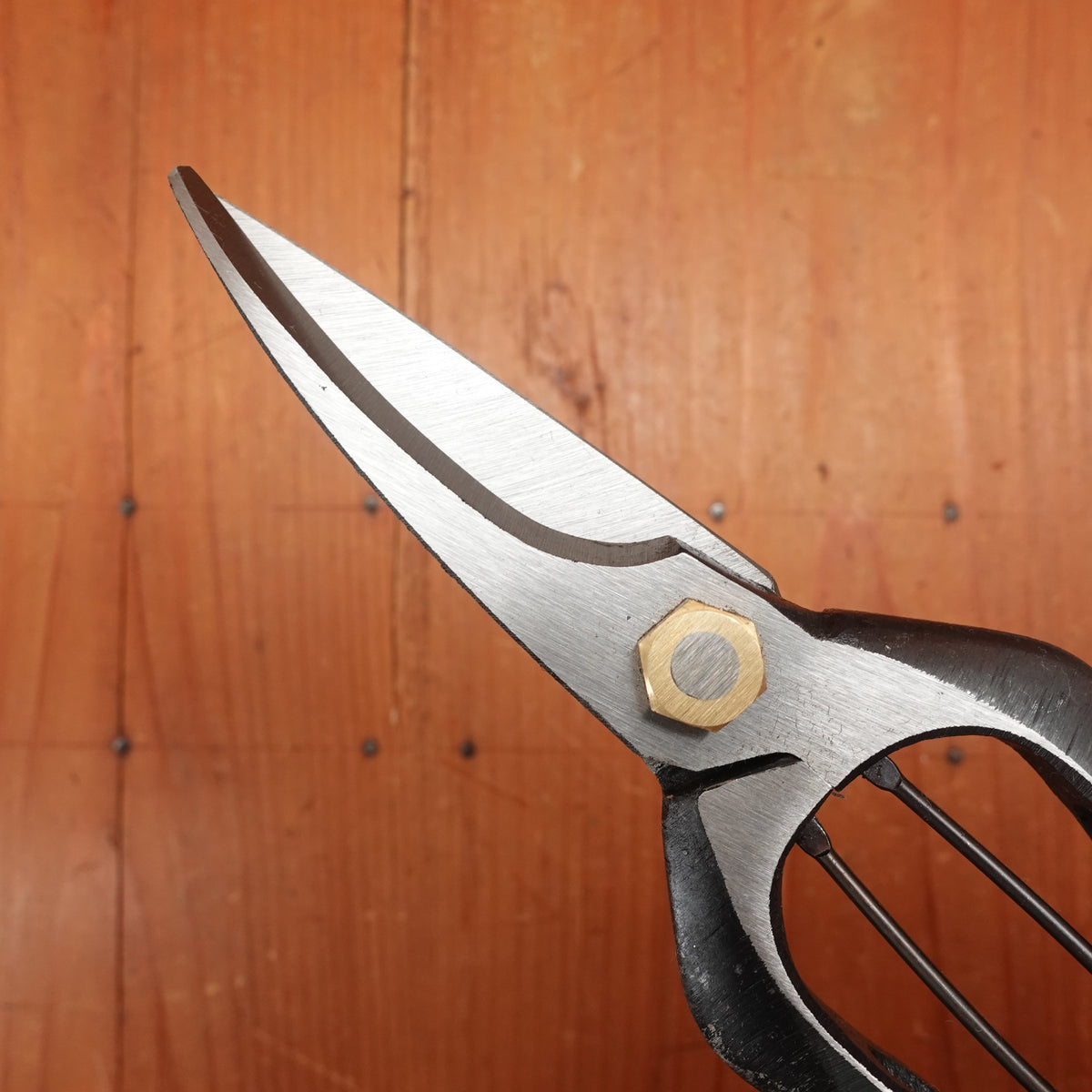 Kan Nihonichi 200mm Bud Pruning Shear Forged Carbon Steel