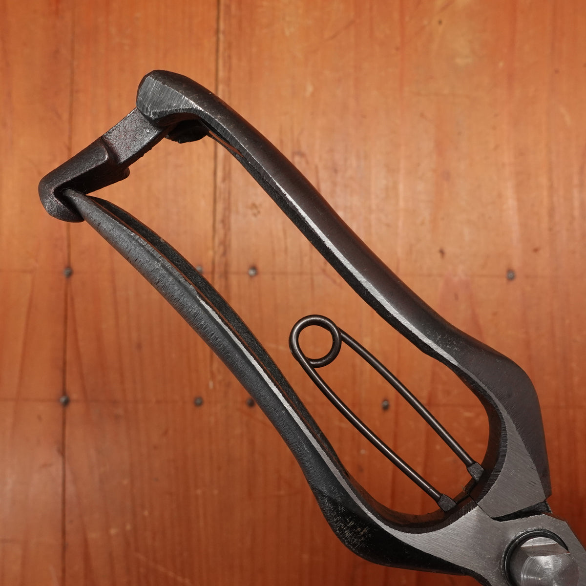 Kan Nihonichi 200mm Bud Pruning Shear Forged Carbon Steel