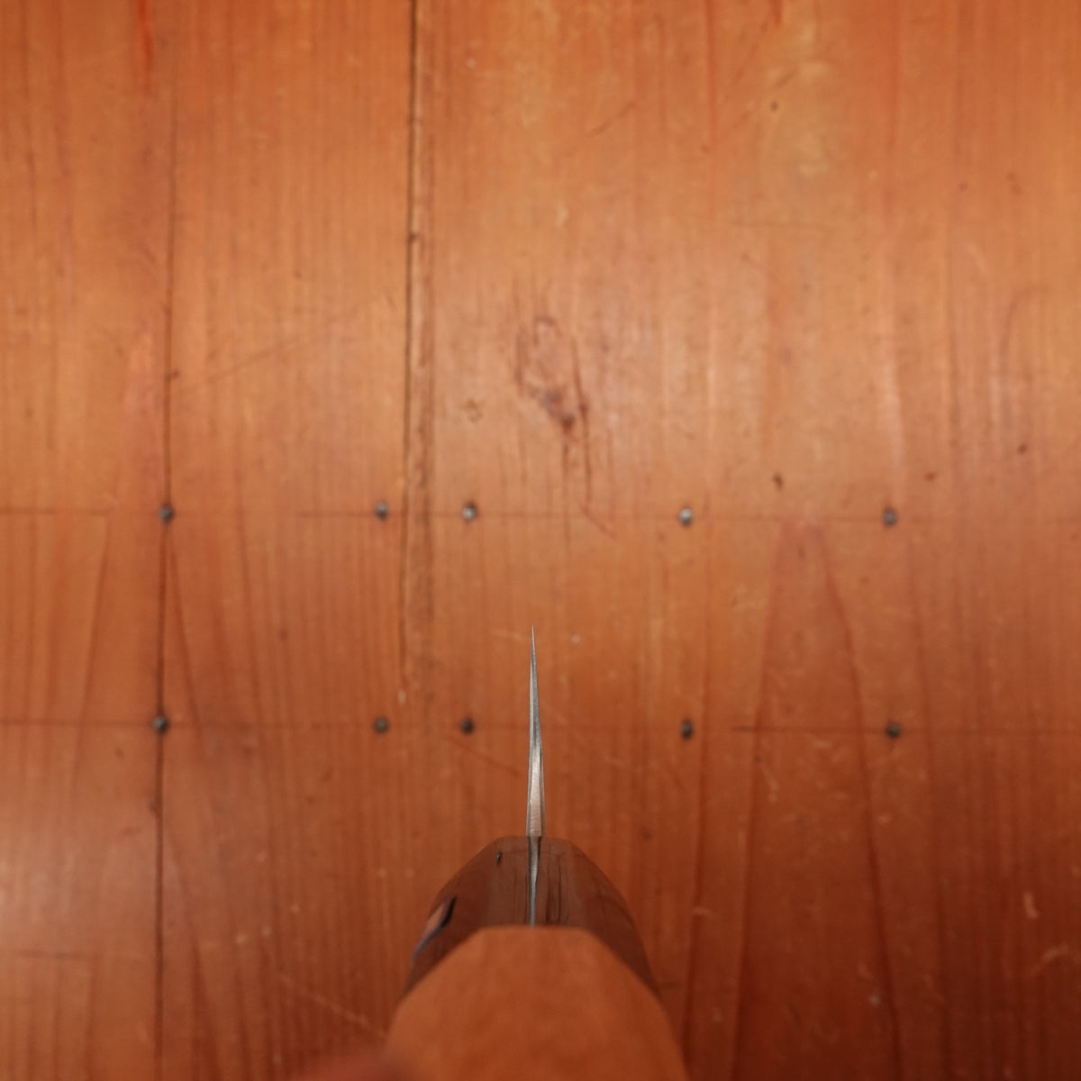 Gihei 150mm Petty ZDP189 Keyaki Handle