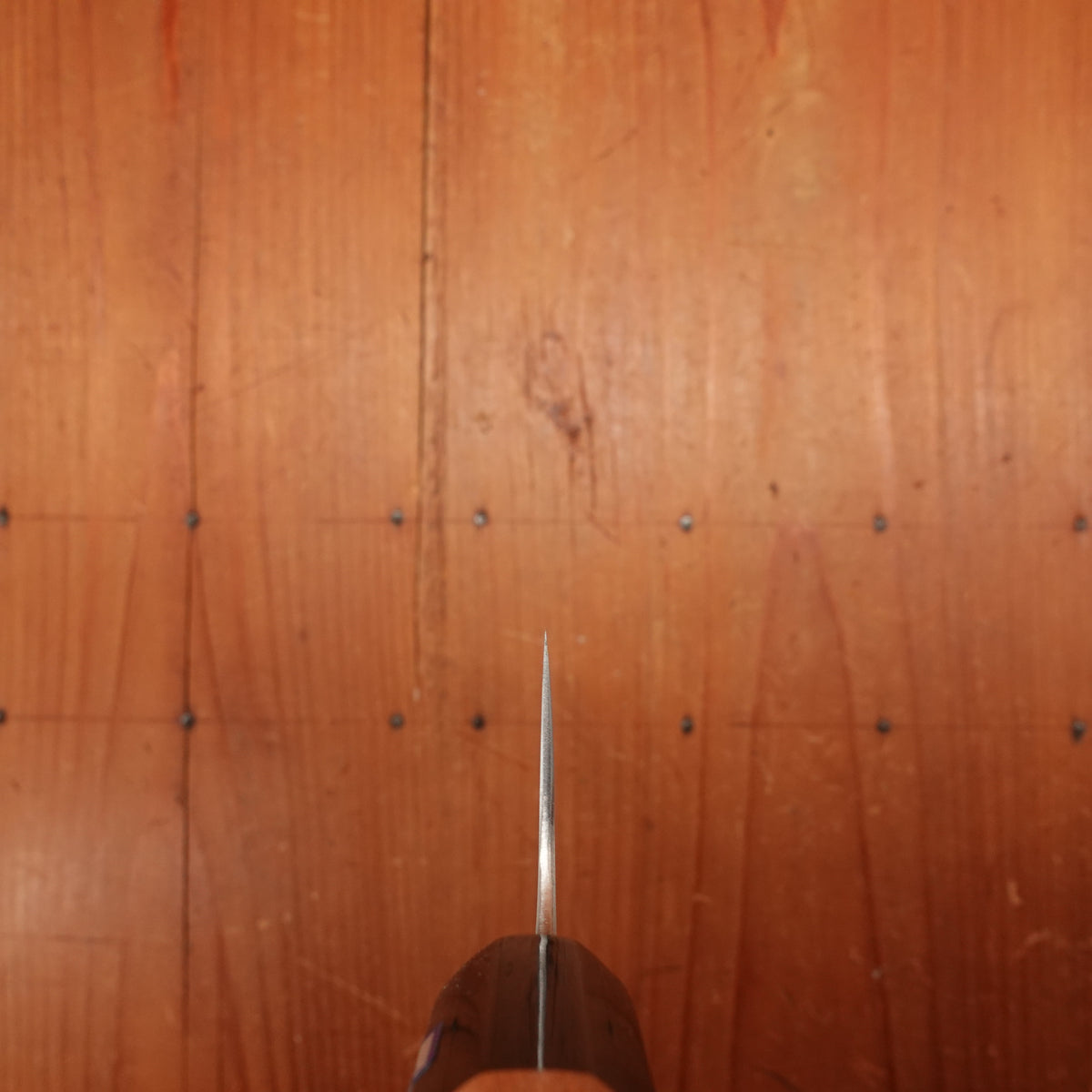 Gihei 180mm Gyuto ZDP189 Keyaki Handle