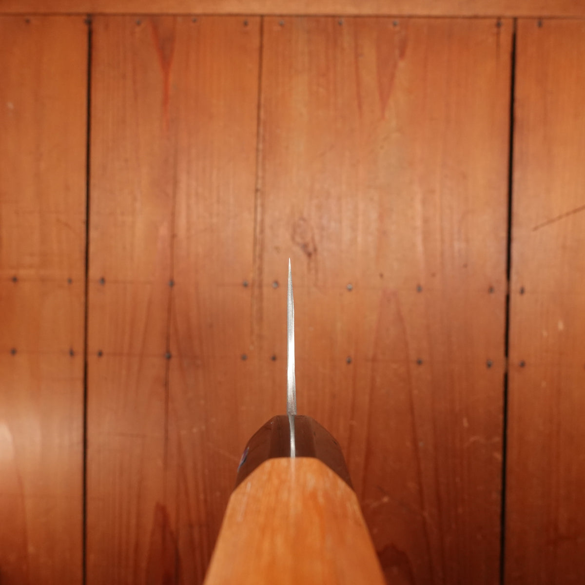 Gihei 240mm Gyuto ZDP189 Keyaki Handle