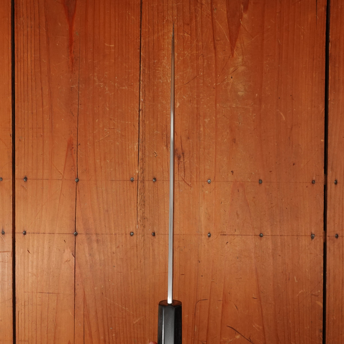 Sakai Kikumori Nakagawa x BC 240mm Gyuto Shirogami 1 Kurouchi Ho Wood with Saya