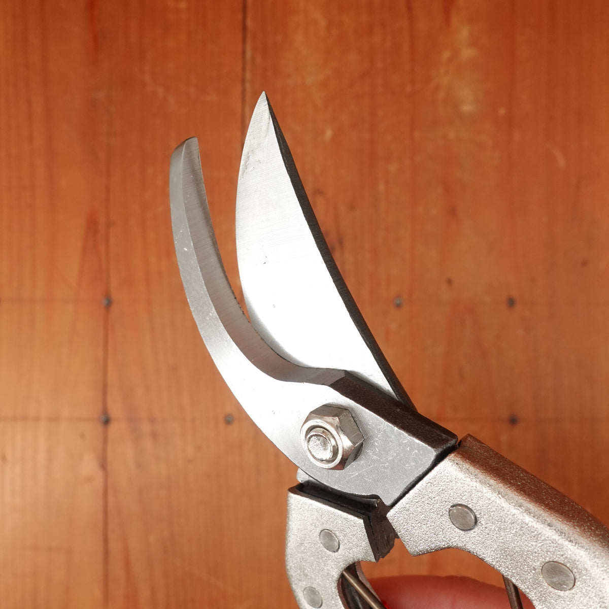 Kireru-Yorokobi 200mm Pruning Shears SLD