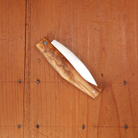 Pallares Busa 10cm Drop Point Stainless Steel Friction Lock Olive Wood Handle