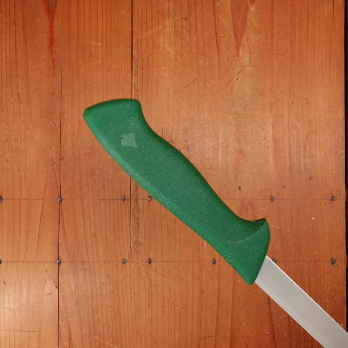 Friedr Herder Don Carlos 8.5" Flexible Fillet Stainless Green
