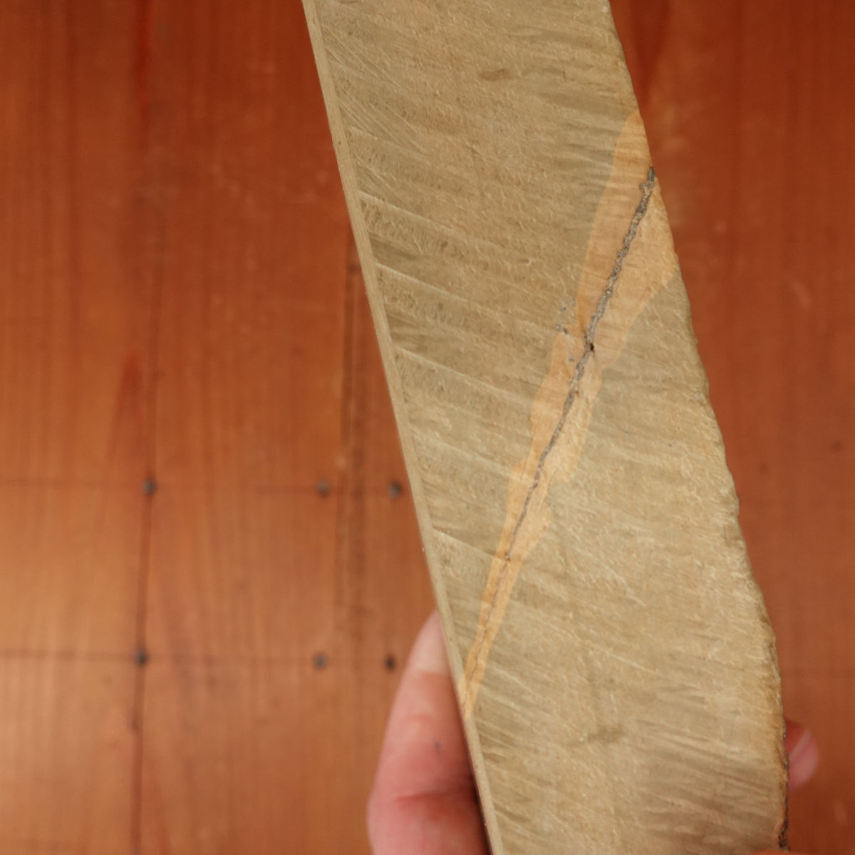 #789 Shoubudani Asagi Goma Namazu Easy Butterball Golden Retriever Stone LV3 Hard LV3.5 Fine 932 Grams