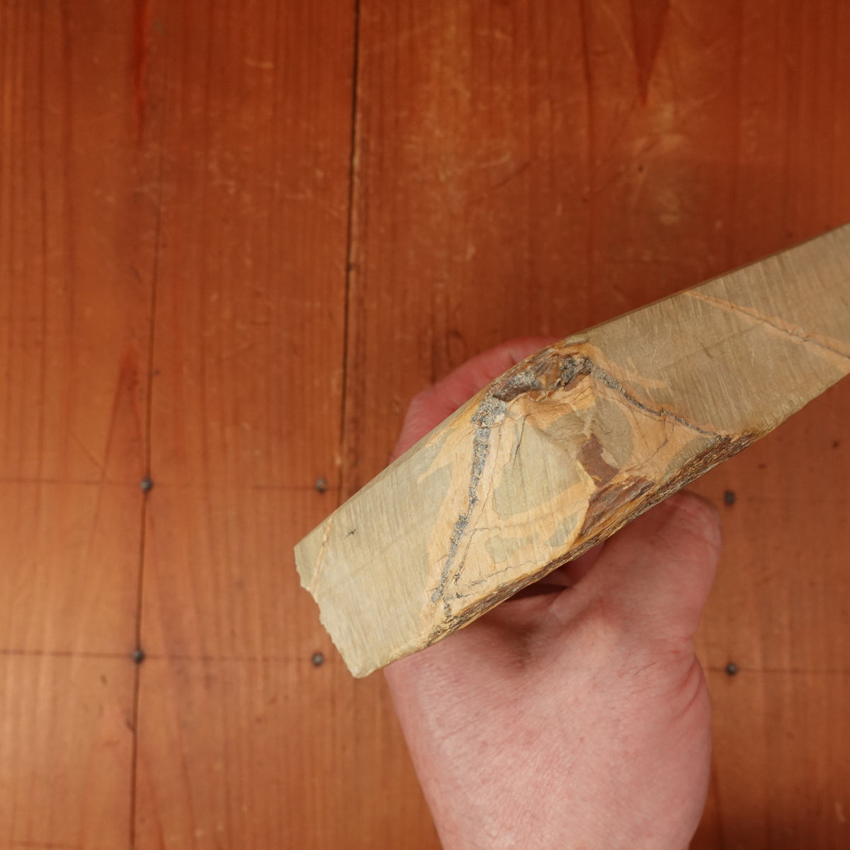 #789 Shoubudani Asagi Goma Namazu Easy Butterball Golden Retriever Stone LV3 Hard LV3.5 Fine 932 Grams