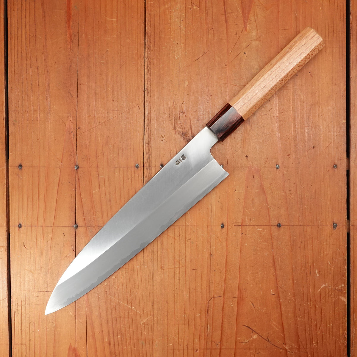Sakai Kikumori Nakagawa 240mm Gyuto Stainless Clad Shirogami 1 Keyaki with Saya