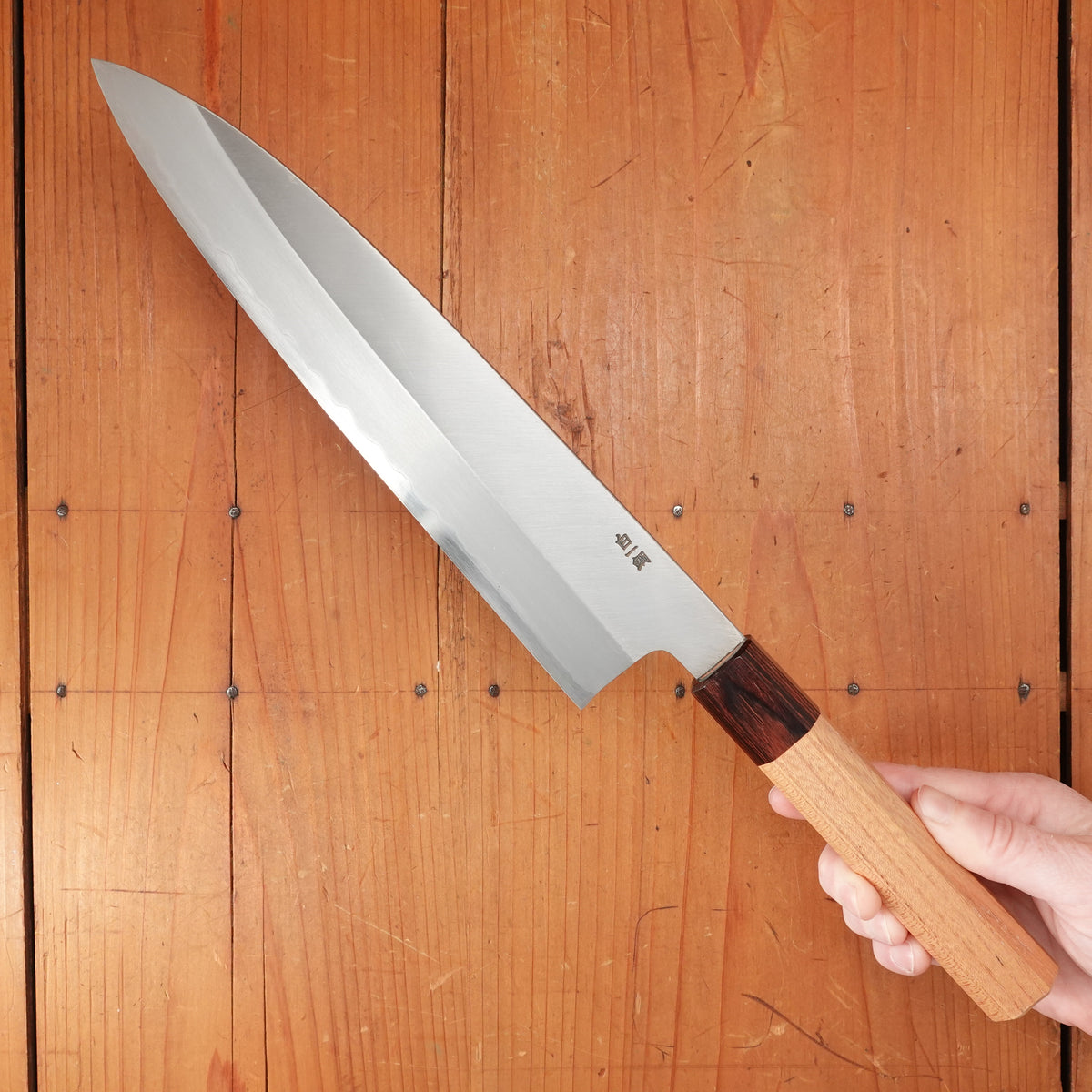 Sakai Kikumori Nakagawa 240mm Gyuto Stainless Clad Shirogami 1 Keyaki with Saya