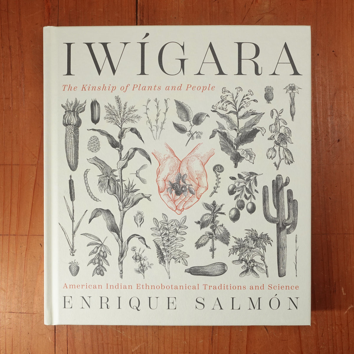 Iwígara - Enrique Salmón