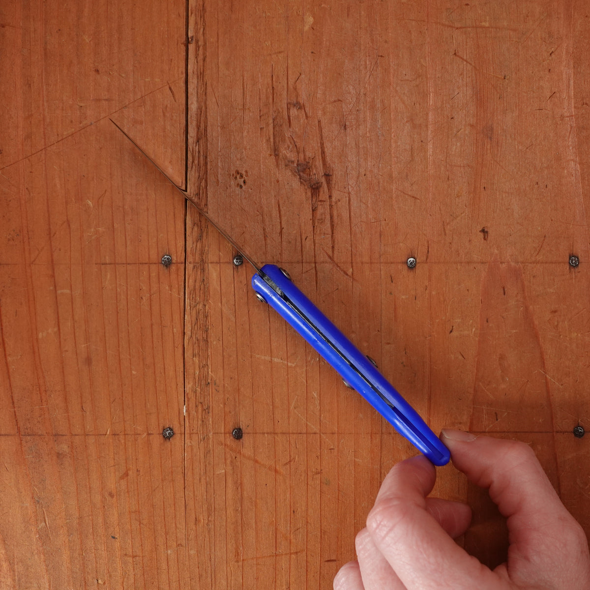 Pallares Comun No.00 7cm Stainless Steel Slipjoint Blue Handle
