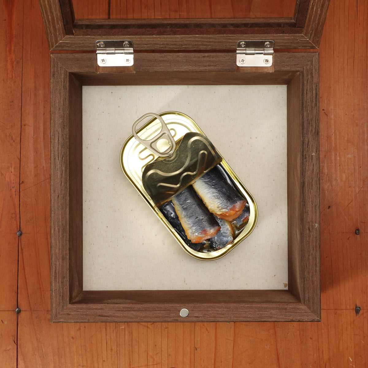 Japanese Replica Tinned Fish in Frame