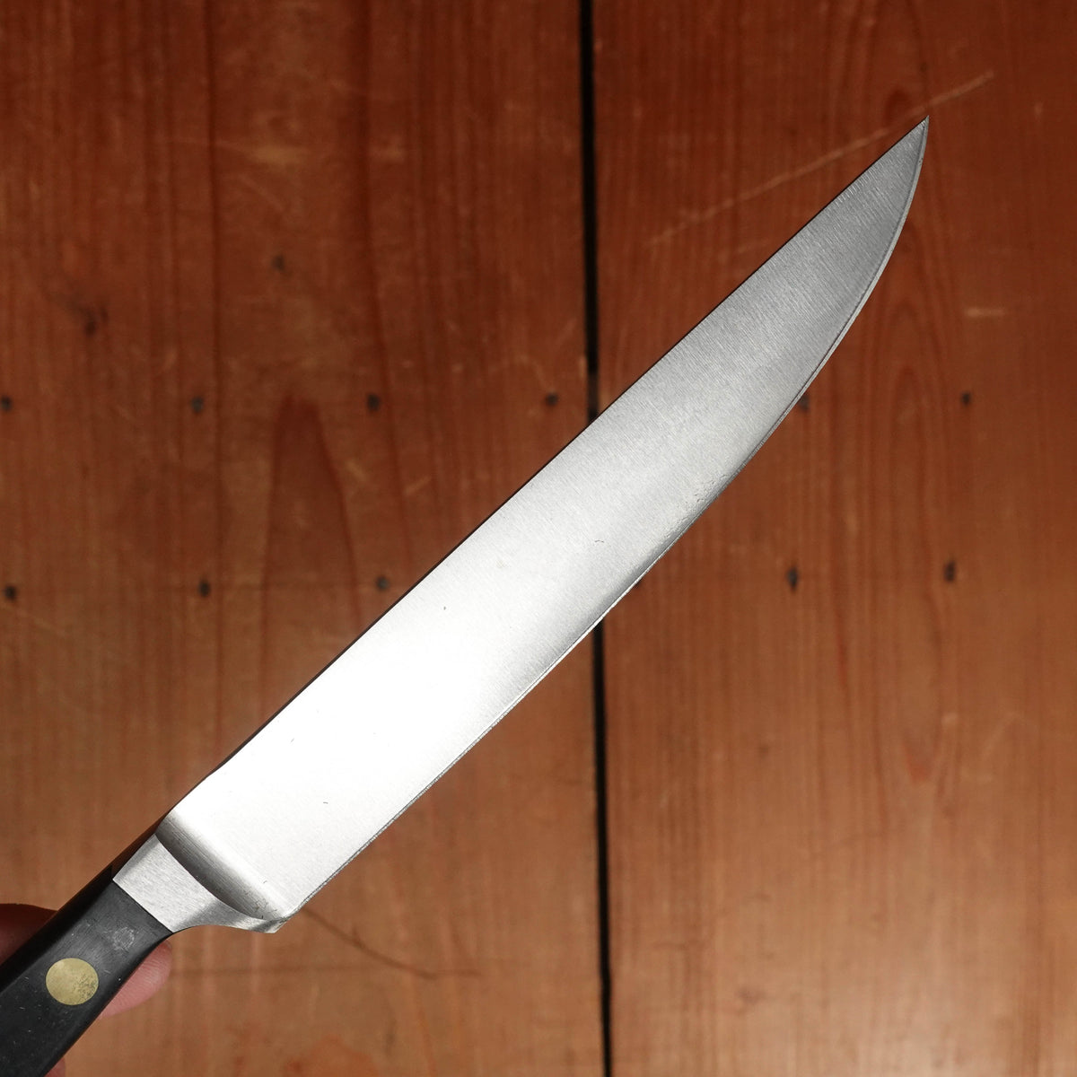 Friedr Herder Pikas Forged Stainless POM Steak Knife Set - 6 Pieces