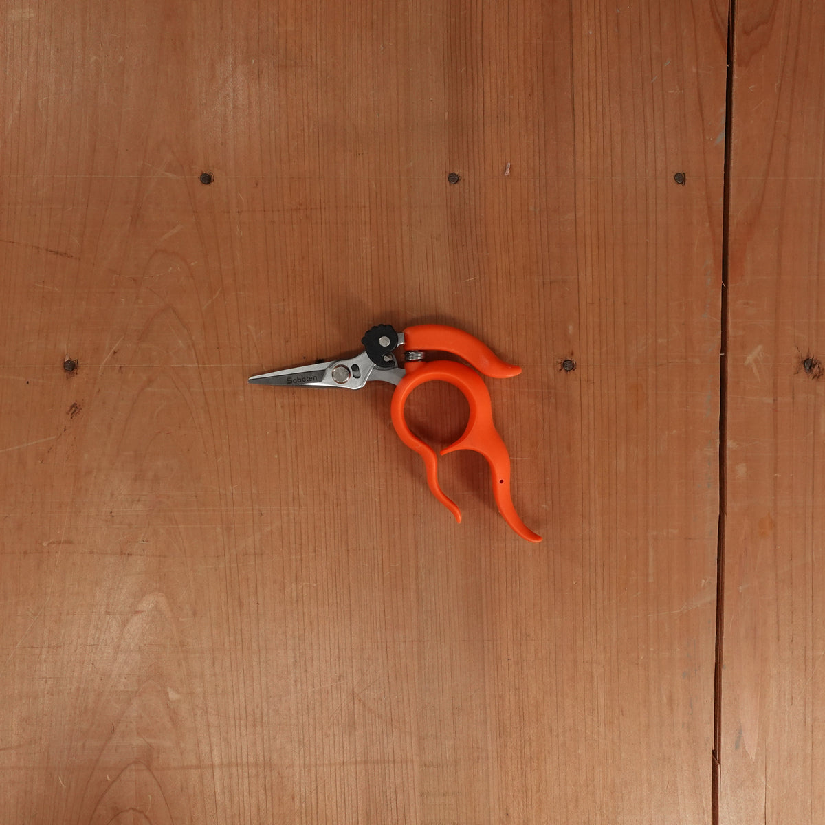 Saboten Harvest Shears Stainless