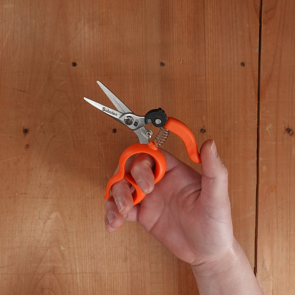 Saboten Harvest Shears Stainless