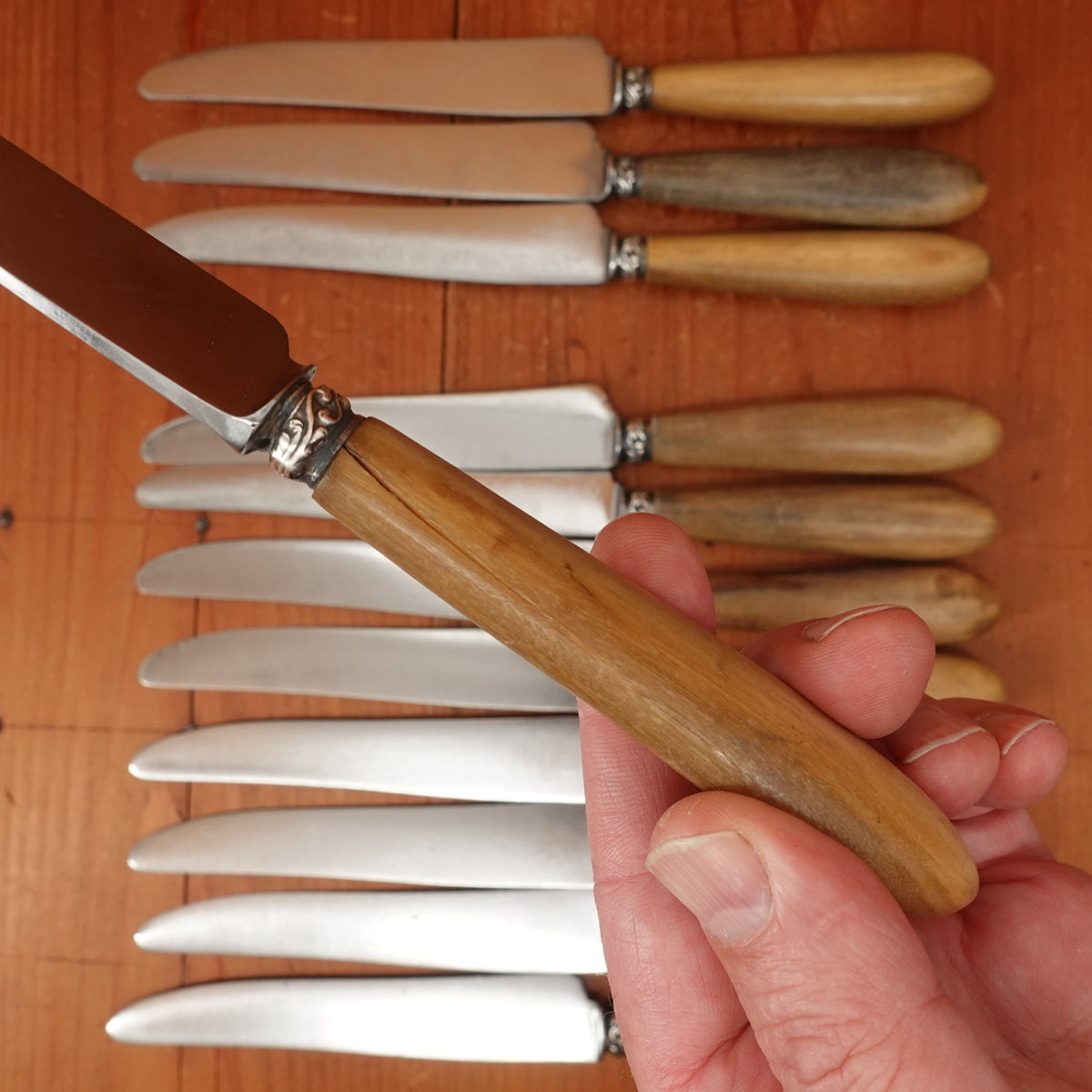 Set of 12 French Dinner Knives Carbon Steel Nickel & Horn France ~1910-20s