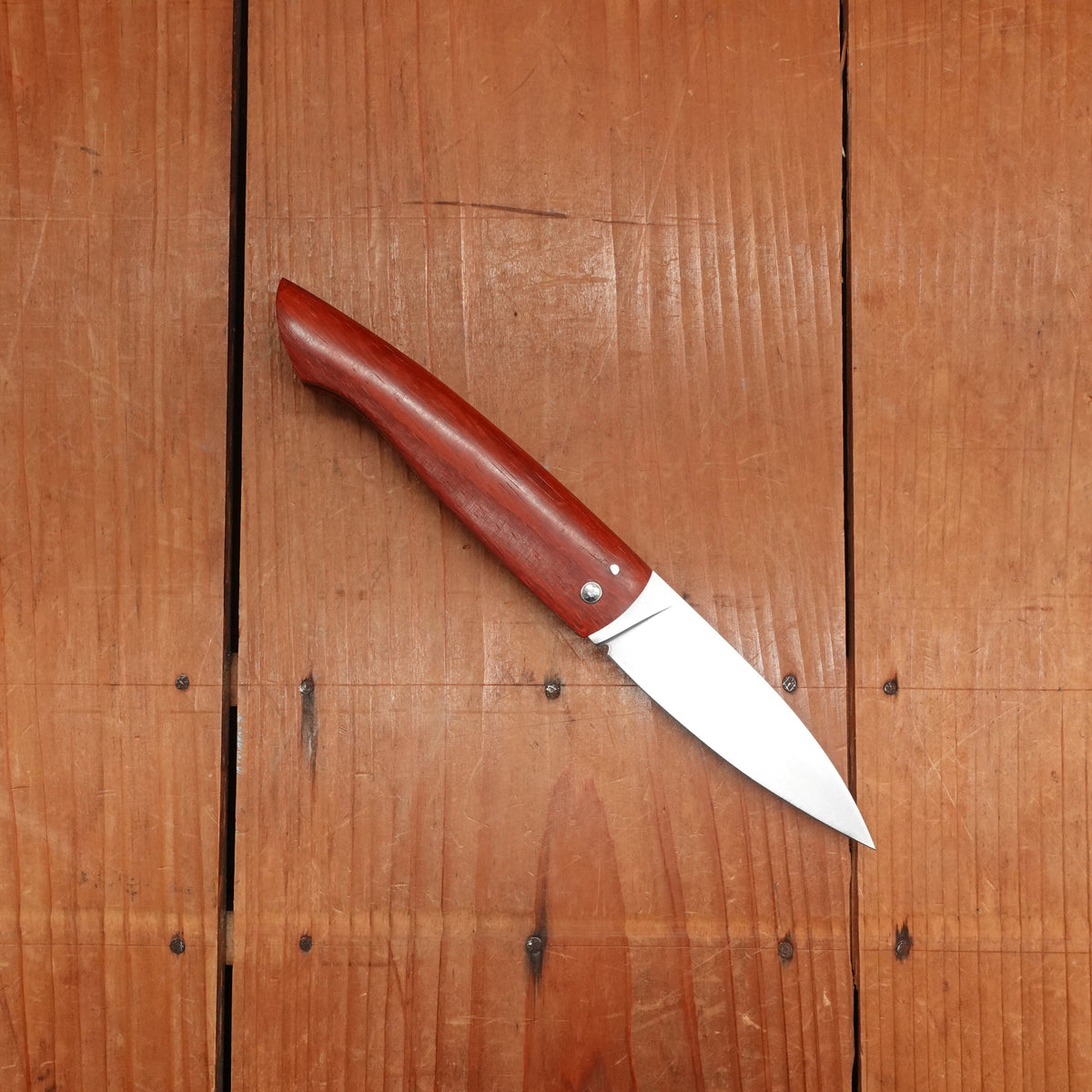David Margrita Capuchin 11cm Drop Point Stainless Friction Fit Padauk Wood