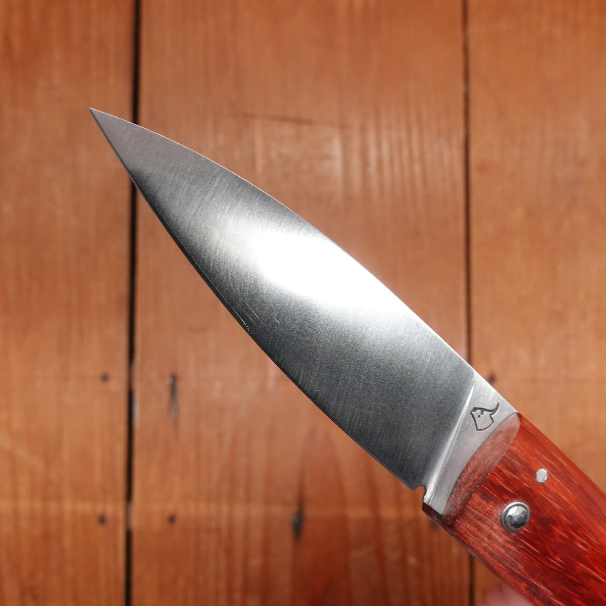 David Margrita Capuchin 11cm Drop Point Stainless Friction Fit Padauk Wood