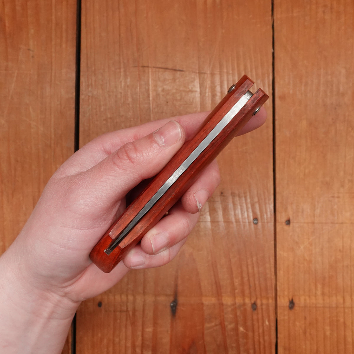 David Margrita Capuchin 11cm Drop Point Stainless Friction Fit Padauk Wood