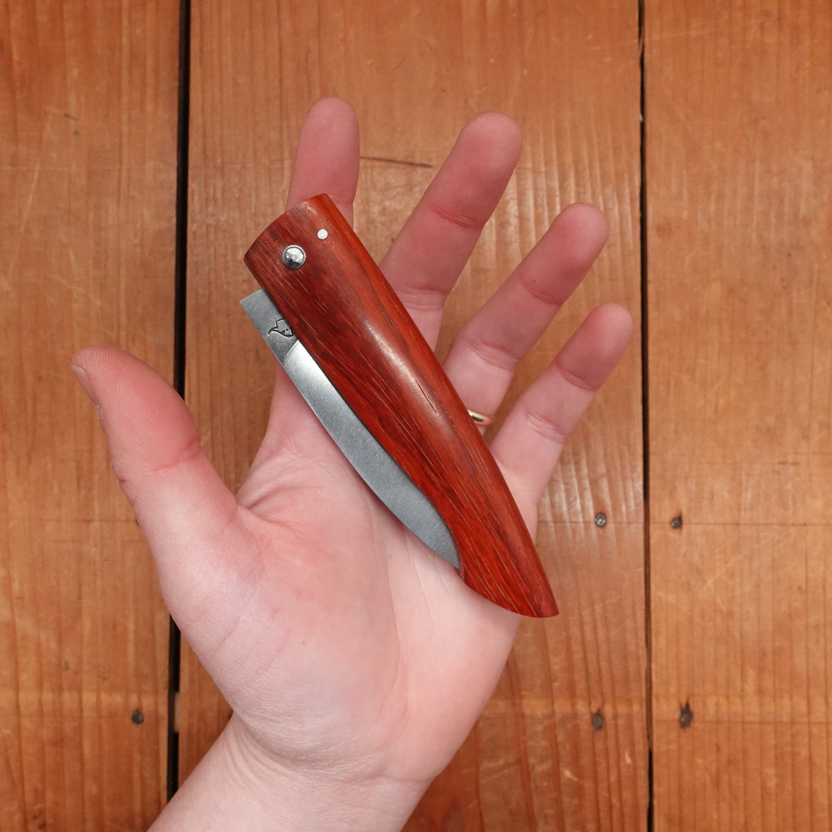 David Margrita Capuchin 11cm Drop Point Stainless Friction Fit Padauk Wood