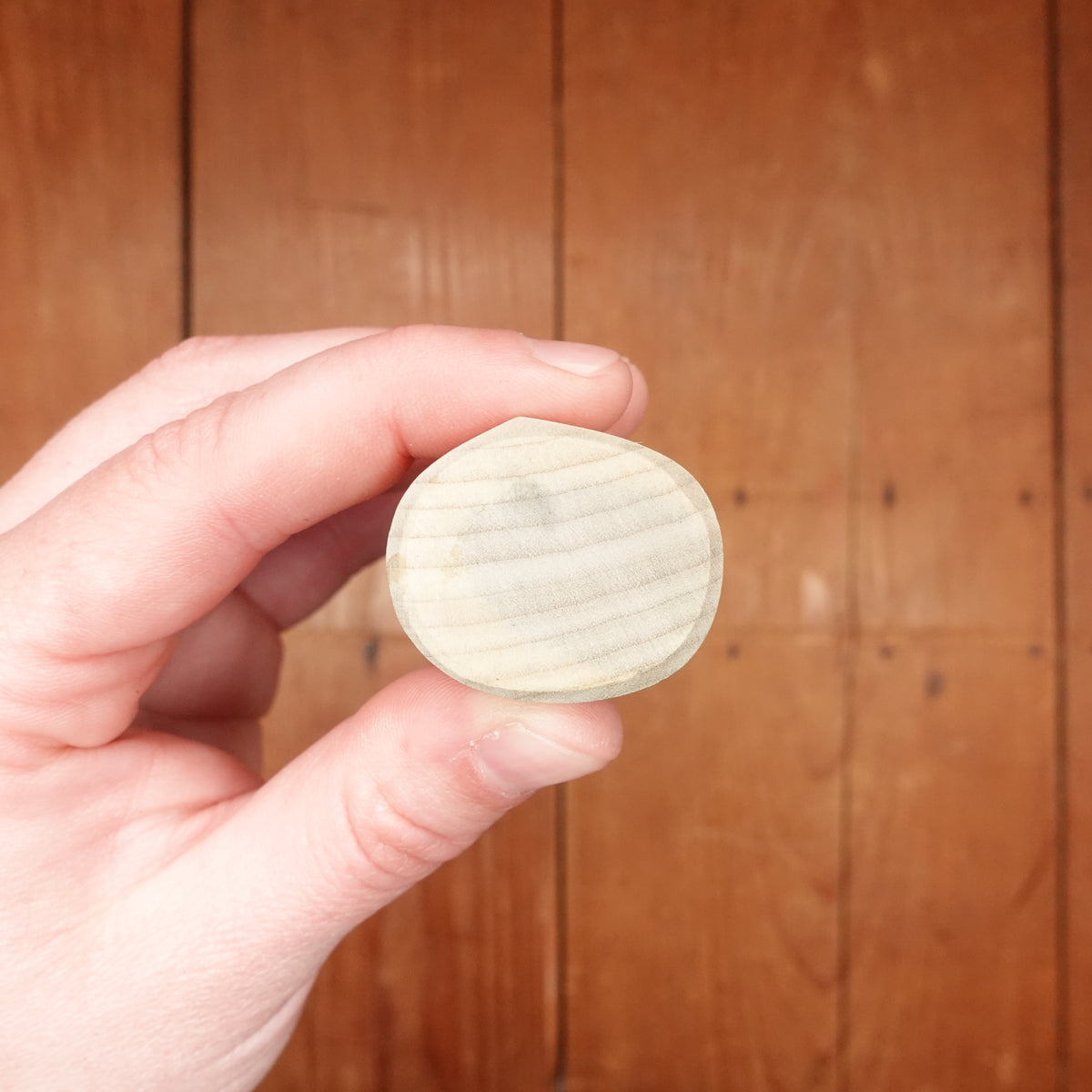 Hitohira Gorobei 195mm Usuba Aogami 2 Ho Wood