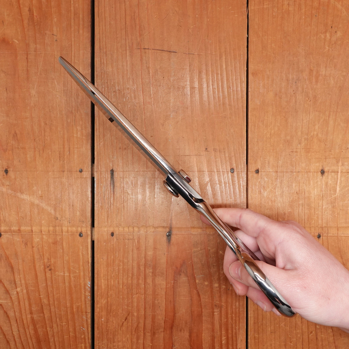 Ernest Wright 10" Tailor Shears - Carbon Steel