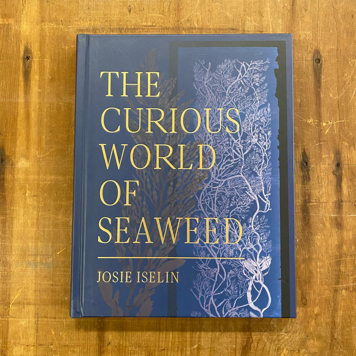 The Curious World of Seaweed - Josie Iselin