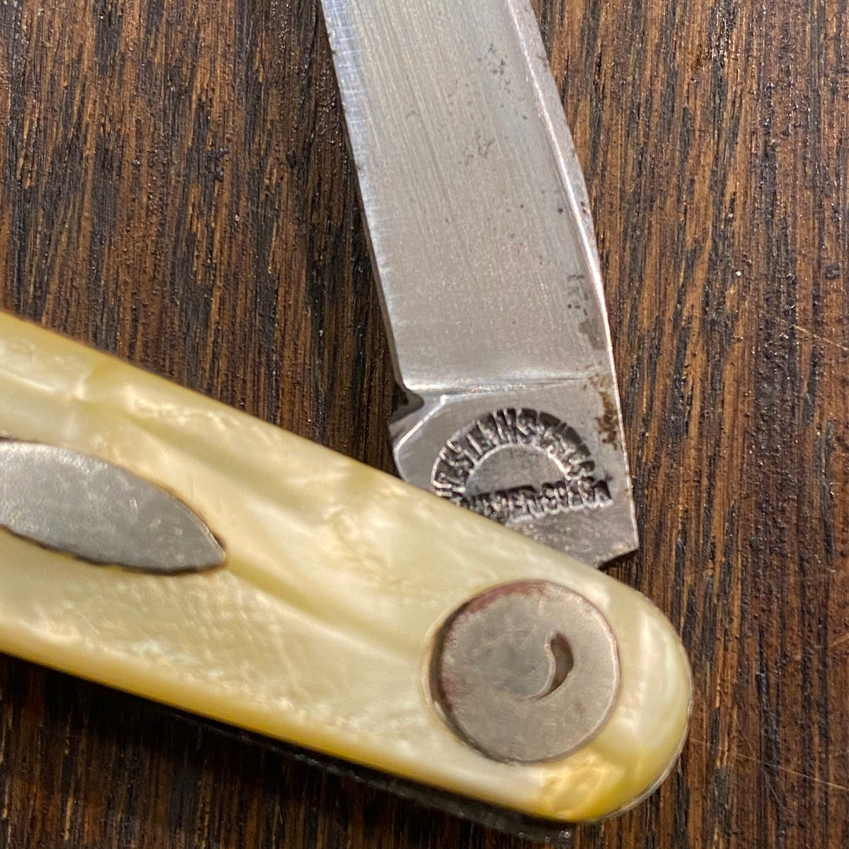 Western States 3 3/8” Serpentine Pen Carbon Blades Celluloid Scales 1911-51